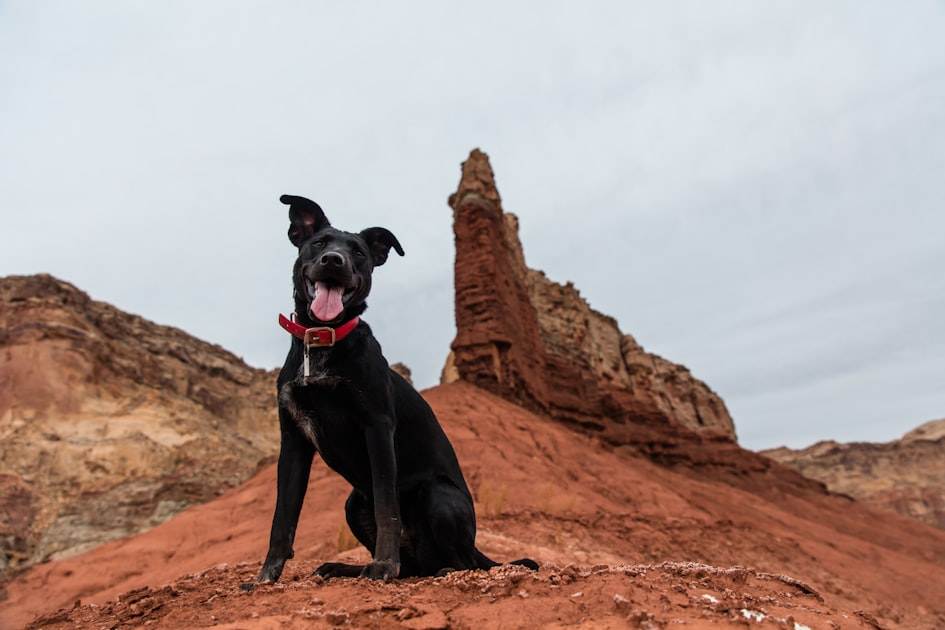Family Travel Advice for Southern Adventures